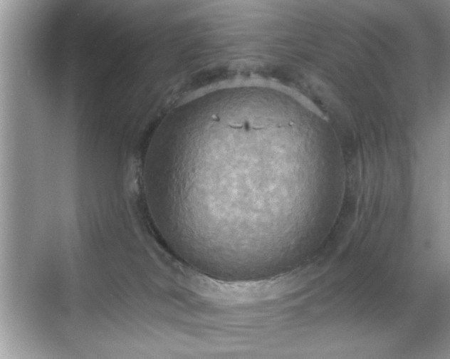 X0000070360038200606121221