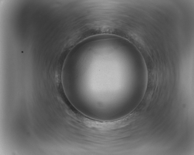 X0000070360039200606121221