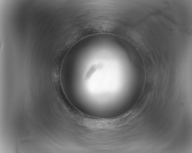 X0000070360040200606121220