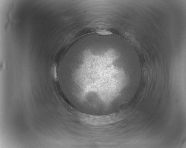 X0000070360042200606121220