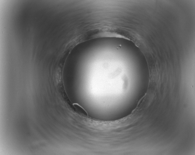 X0000070360043200606121220