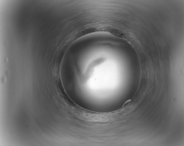 X0000070360044200606121220