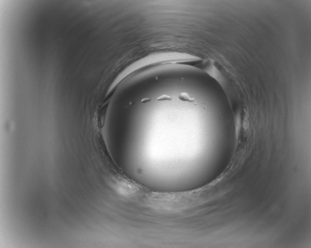 X0000070360045200606121220