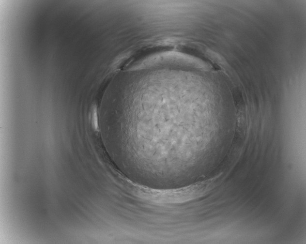 X0000070360046200606121220