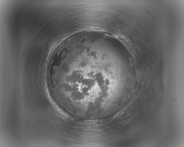 X0000070360049200606121220