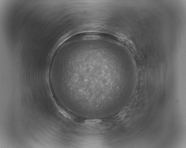 X0000070360051200606121220