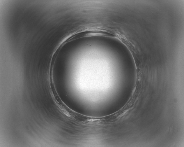 X0000070360052200606121220