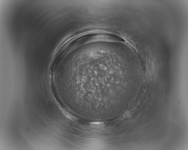 X0000070360053200606121220