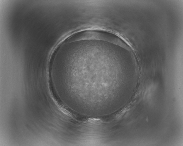 X0000070360055200606121220