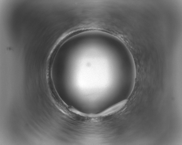 X0000070360056200606121220