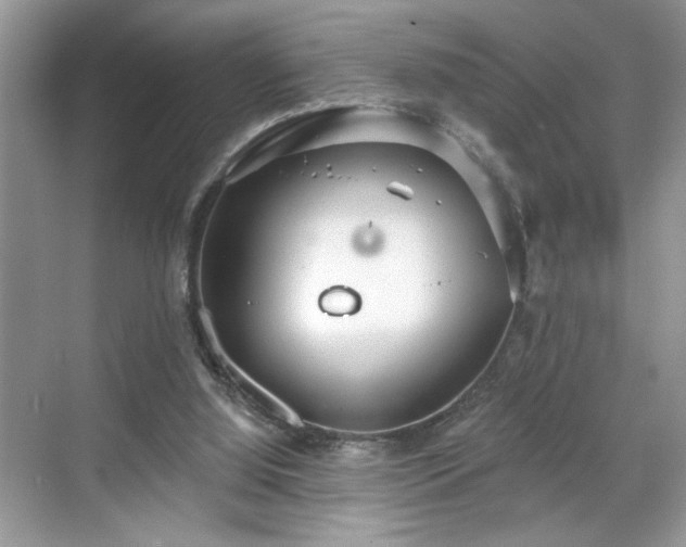 X0000070360060200606121220