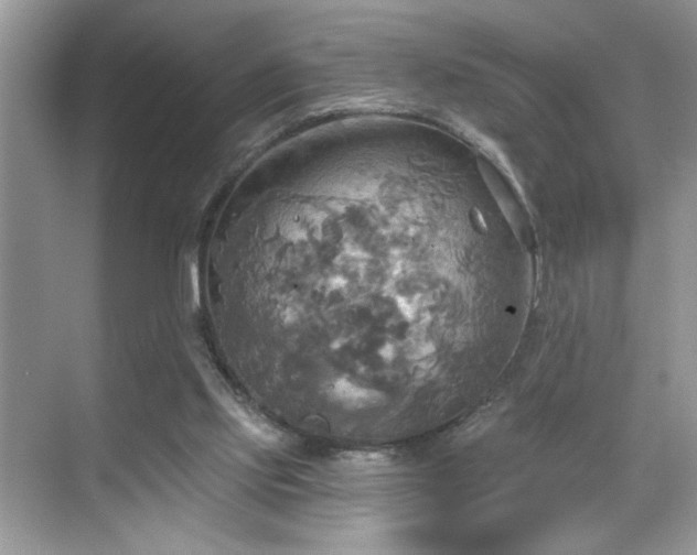 X0000070360061200606121220