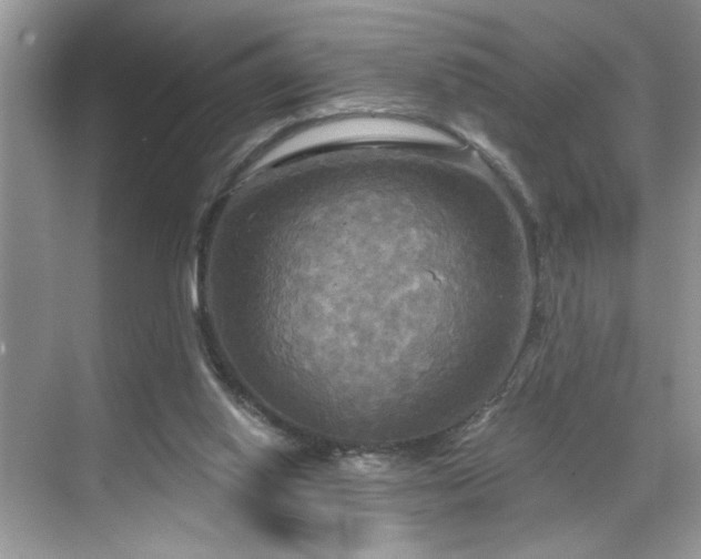 X0000070360062200606121220