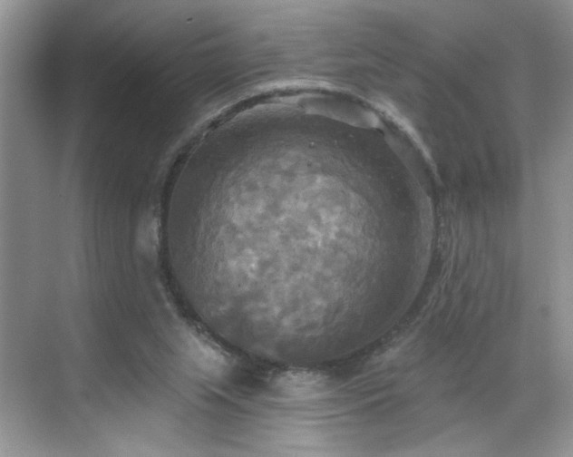 X0000070360063200606121220