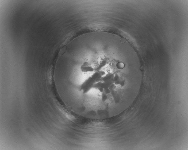 X0000070360065200606121220