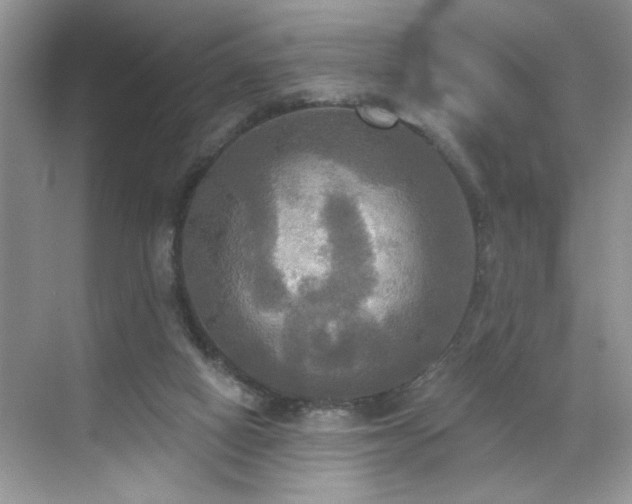 X0000070360066200606121220