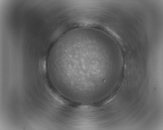 X0000070360067200606121220