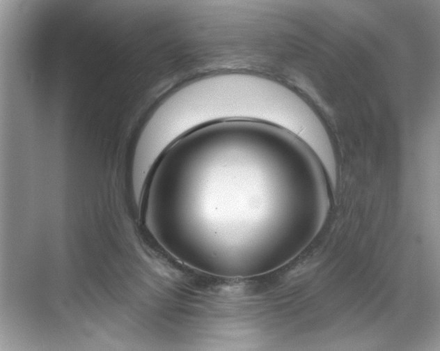 X0000070360068200606121220