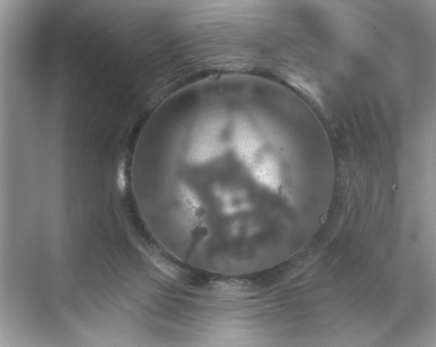 X0000070360069200606121220