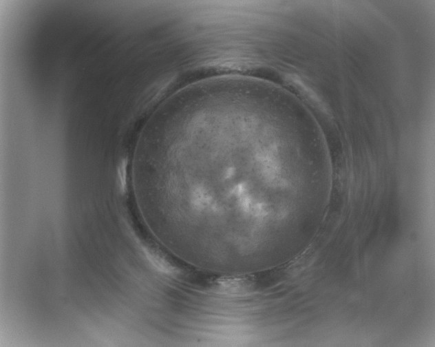 X0000070360070200606121220