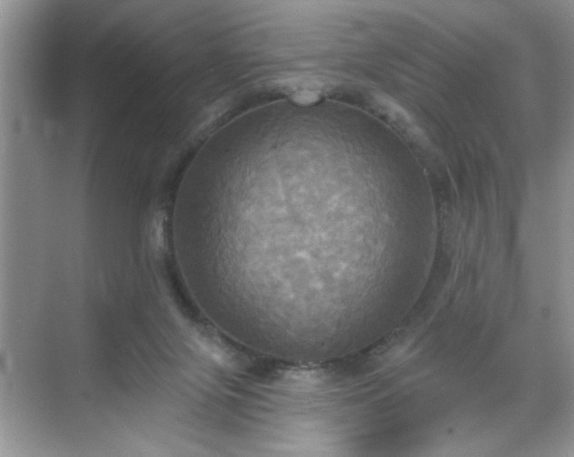 X0000070360071200606121220