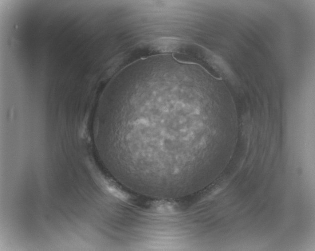 X0000070360073200606121220