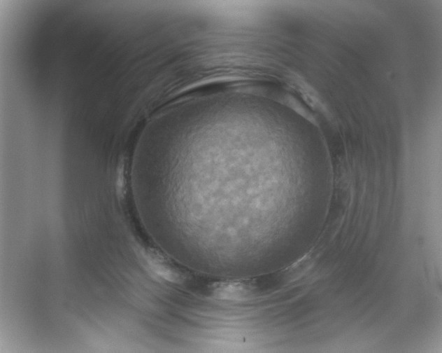 X0000070360074200606121220