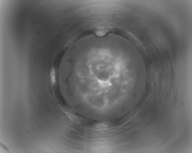 X0000070360075200606121220