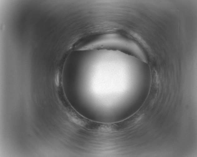 X0000070360076200606121220