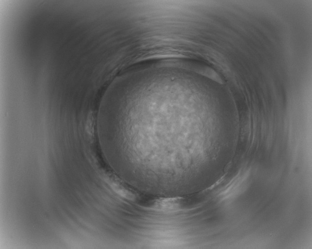 X0000070360078200606121220