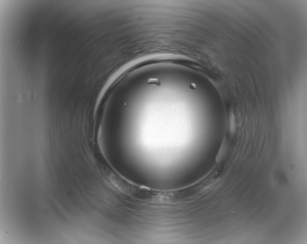 X0000070360080200606121220