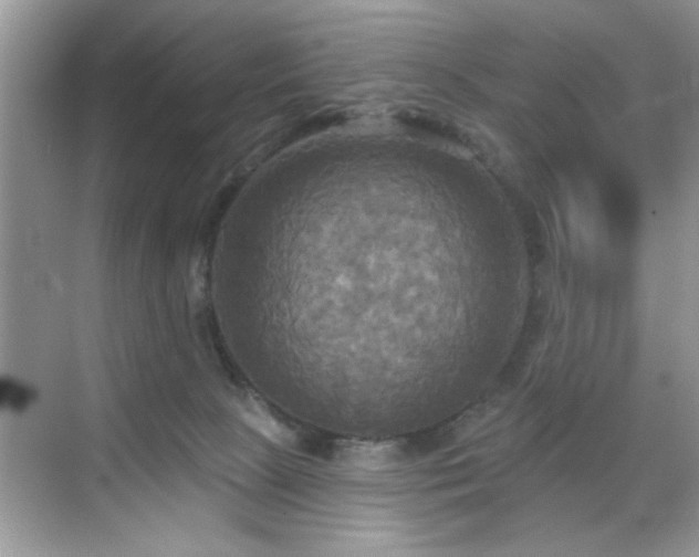 X0000070360081200606121220