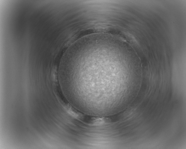 X0000070360083200606121220