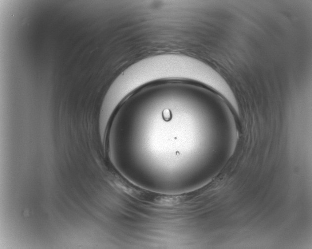 X0000070360084200606121220