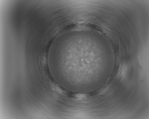 X0000070360085200606121220