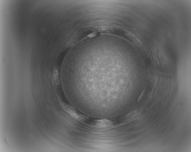 X0000070360087200606121220