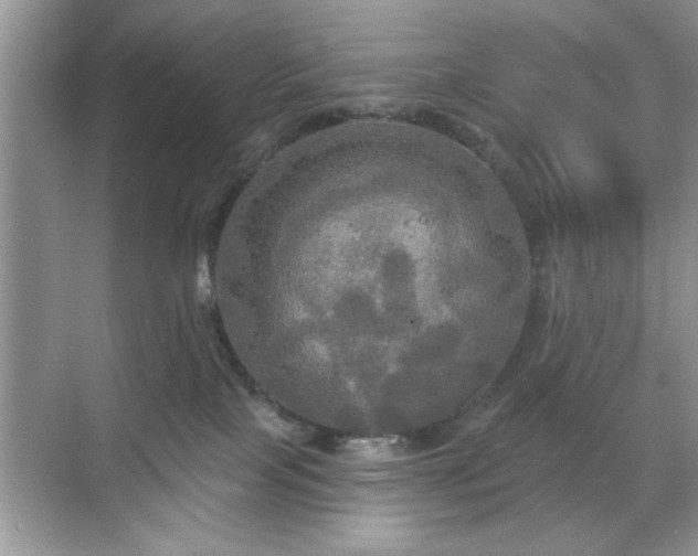 X0000070360089200606121220