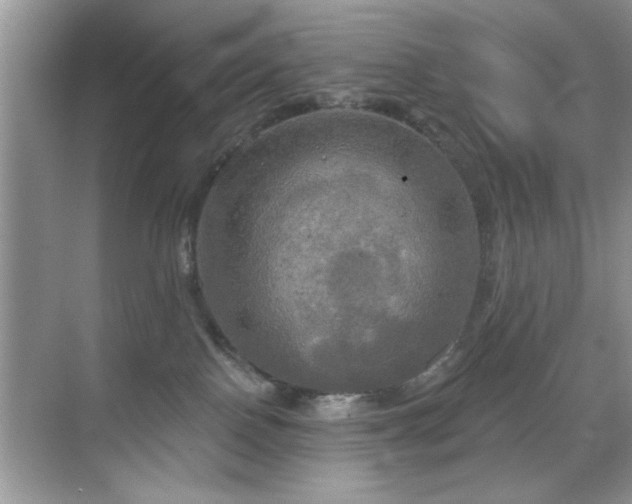 X0000070360090200606121220