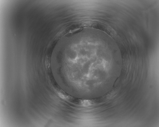 X0000070360091200606121220