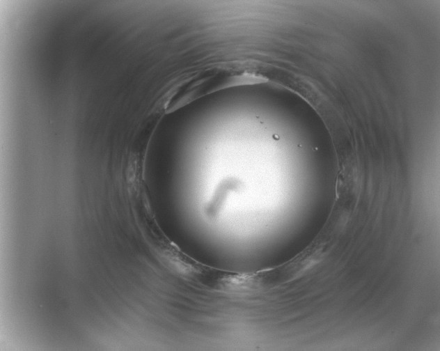 X0000070360092200606121220