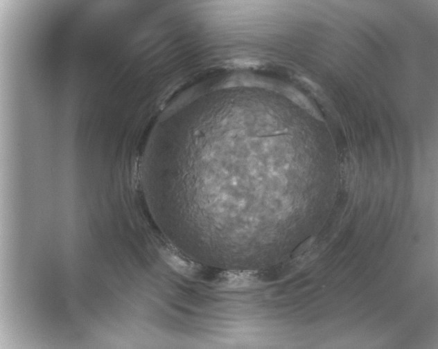 X0000070360093200606121220