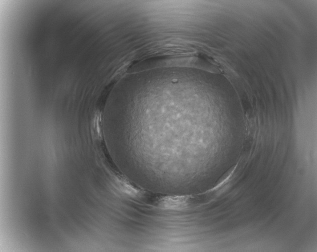 X0000070360094200606121220