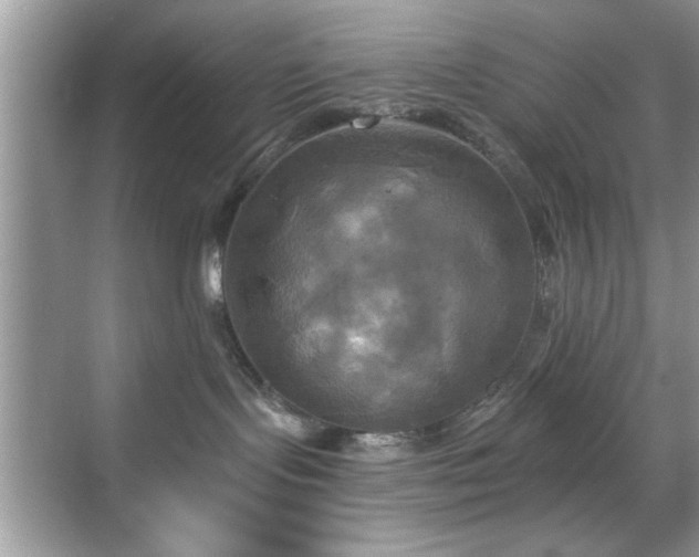 X0000070360095200606121220