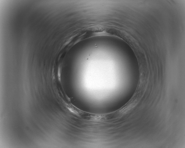 X0000070360096200606121220