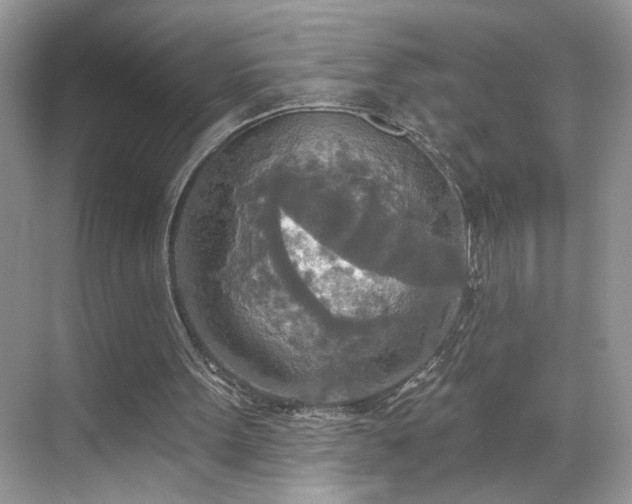 X0000070360099200606121219