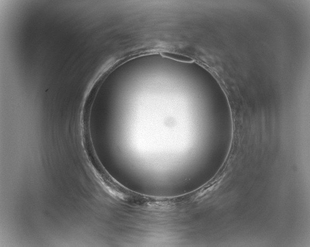 X0000070360102200606121219