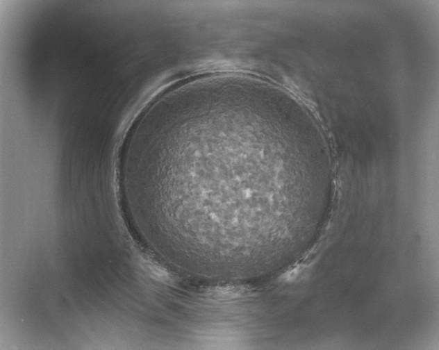 X0000070360103200606121219