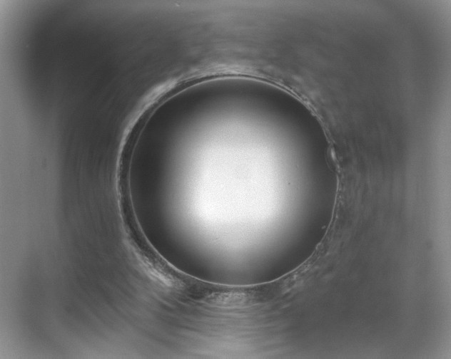 X0000070360104200606121219