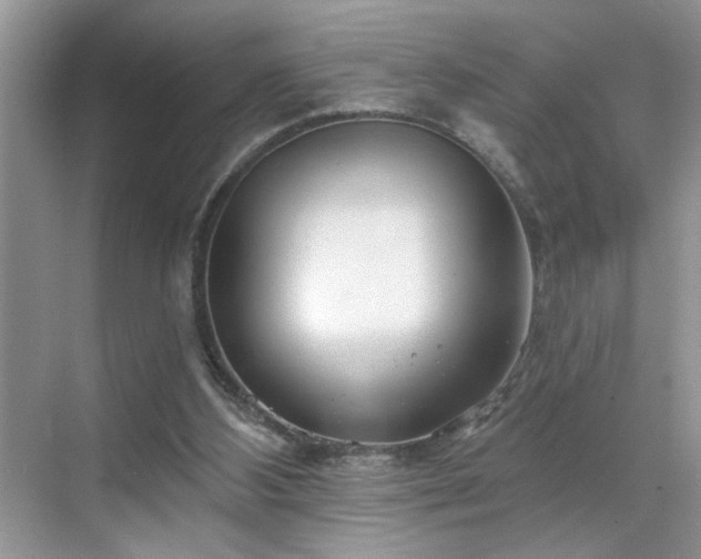 X0000070360108200606121219