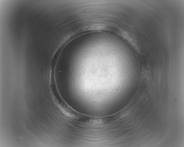 X0000070360110200606121219